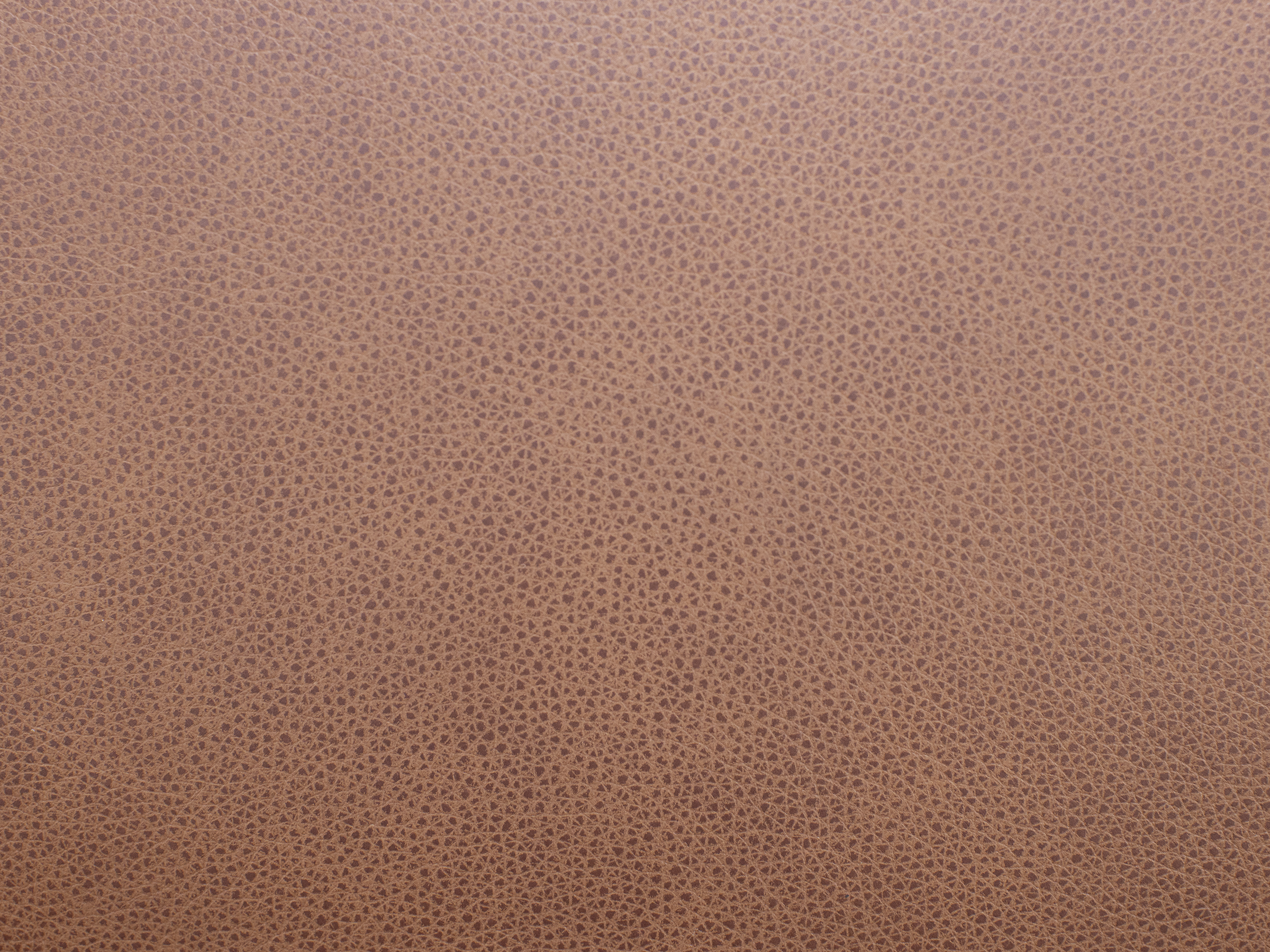 Paloma Leather Sofa in Caramel